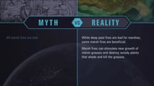 A simple chart with two columns, each with a header image: a mythical drawing on the left and a satellite image of marshlands on the right. The "Myth vs. Reality" logo appears toward the chart's top, with "Myth" positioned at the top of the left column, and "Reality" positioned at the top of the right column. Both columns have text.