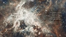 Image of the Tarantula Nebula. Text at right reads "Their cosmic résumé includes a variety of ridges, pillars, and valleys carved out of the nebula's gas and dust."﻿