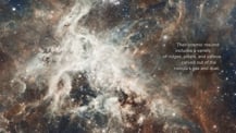 Image of the Tarantula Nebula. Text at right reads "Their cosmic résumé includes a variety of ridges, pillars, and valleys carved out of the nebula's gas and dust."﻿