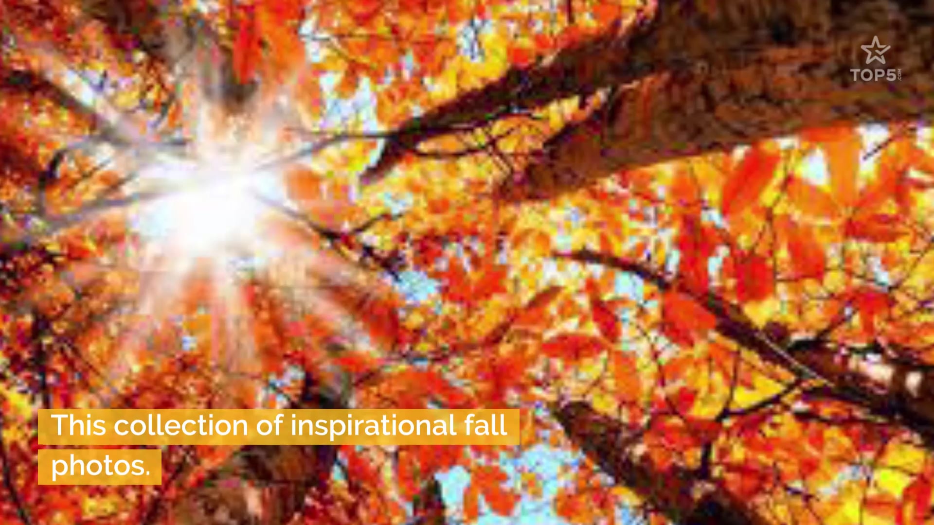 Images of the Fall on Vimeo