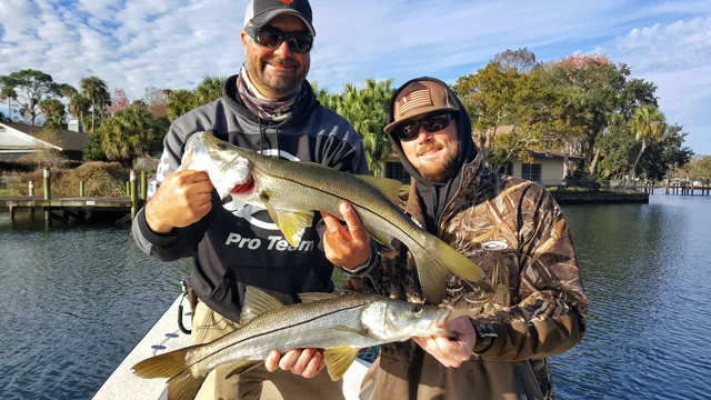 Snook - Winter Lure Fishing Techniques