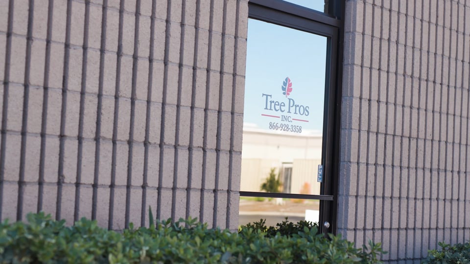 Why TCIA membership, with George of O-Tree Pros, a TCIA video by Waves Media