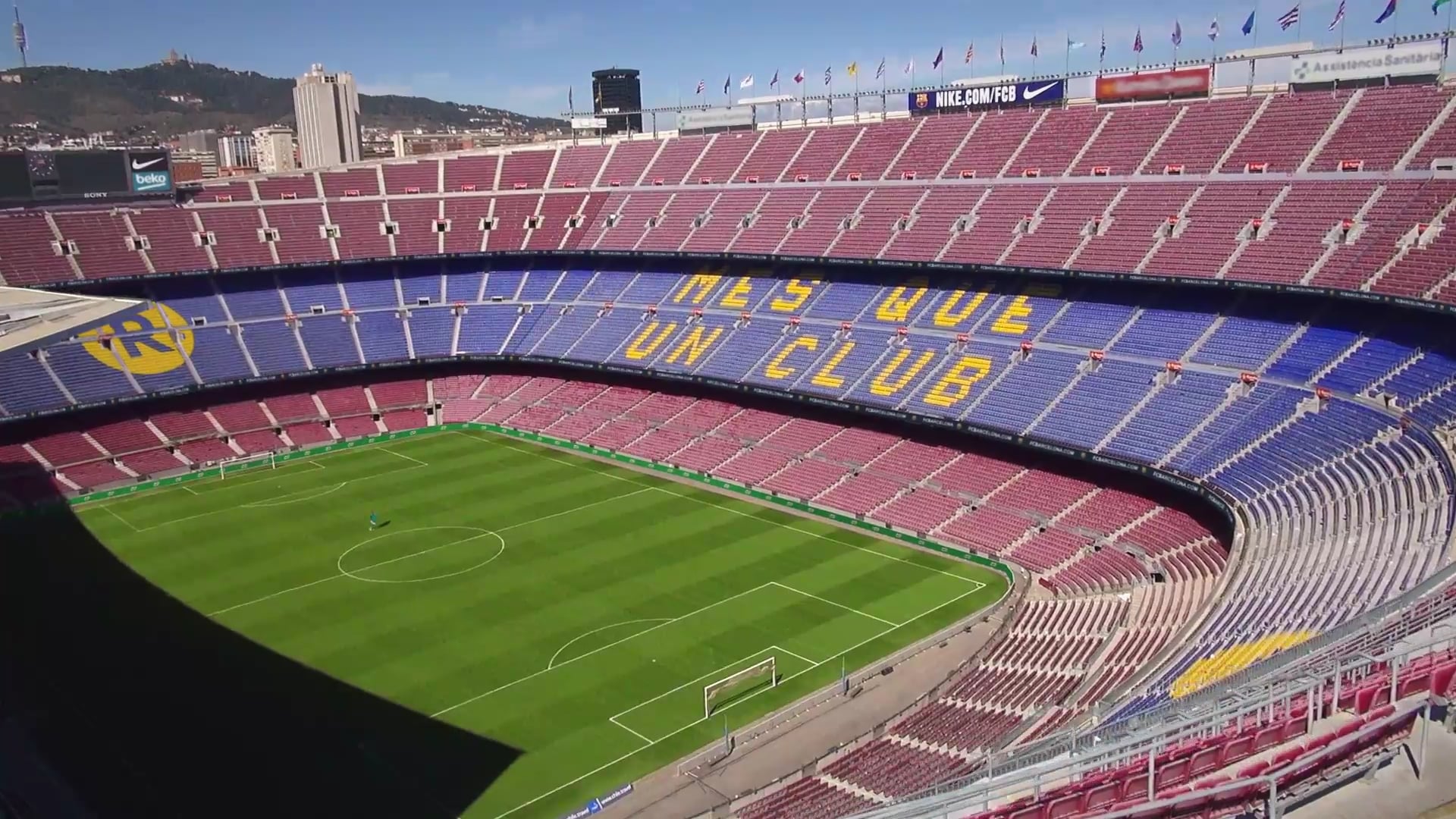 Milo I Owe It to the Team