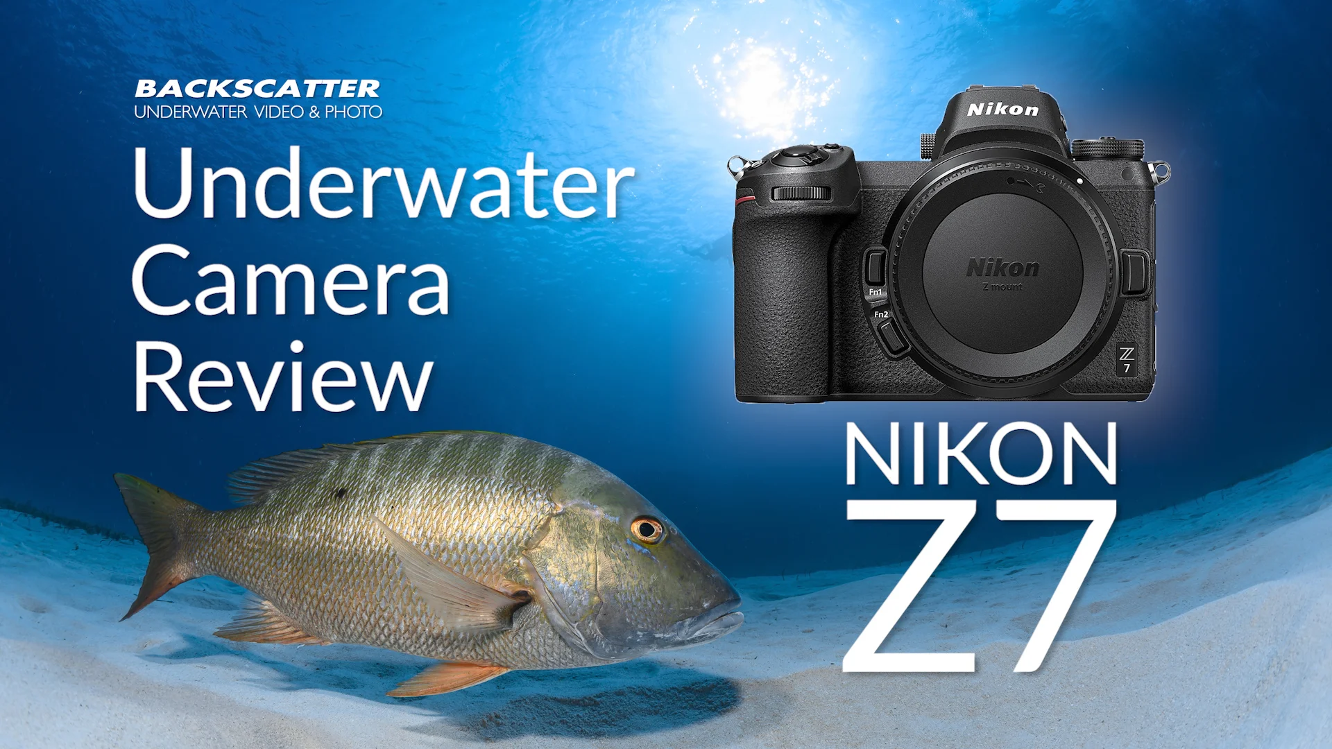 Nikon Z 7 Review