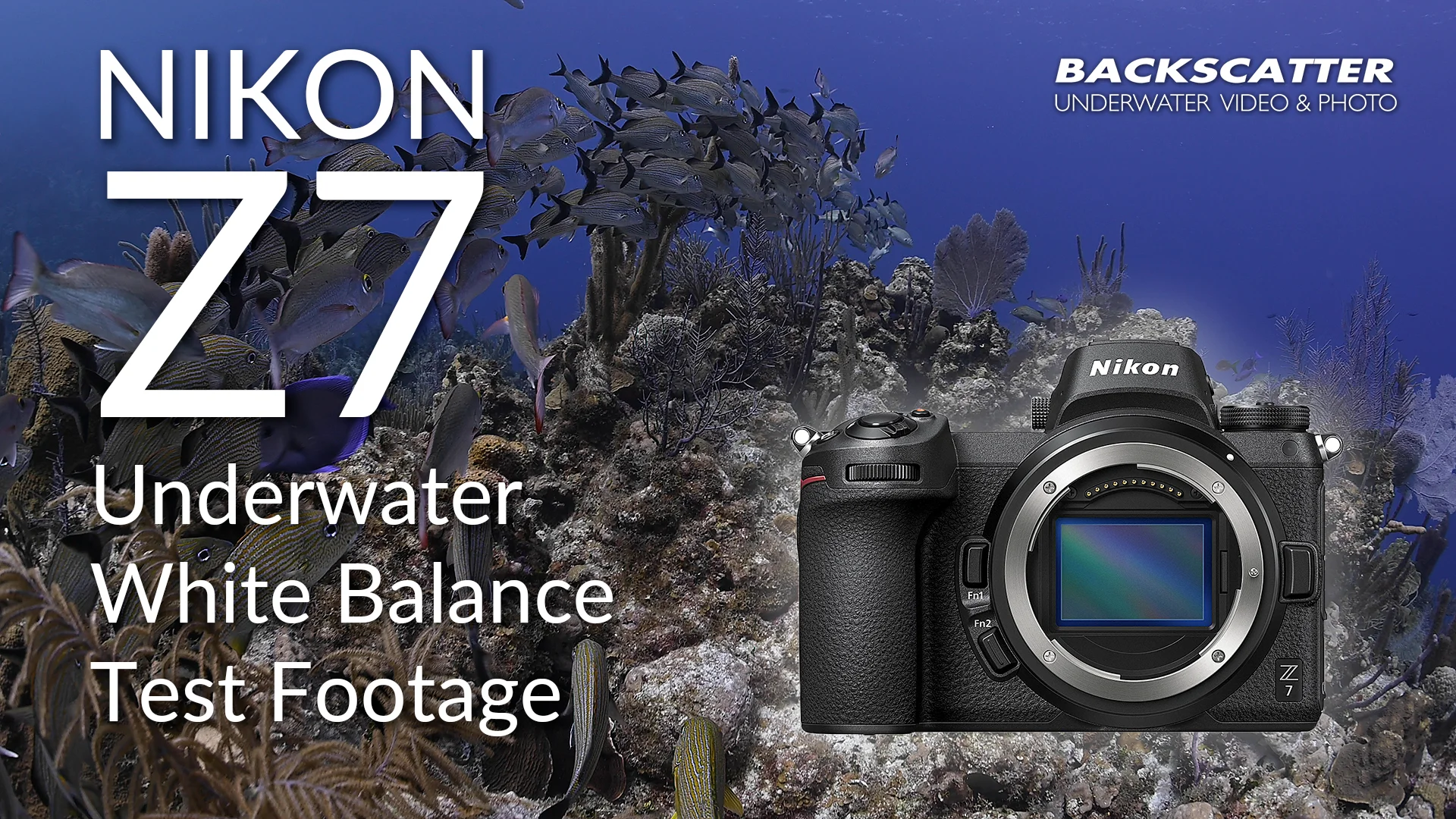 Nikon Z6III Body | CVP