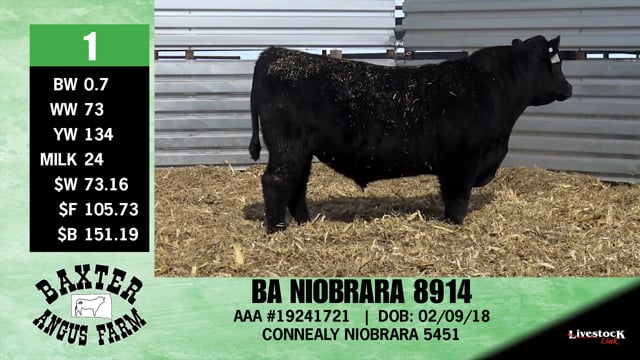 Lot #1 - BA NIOBRARA 8914