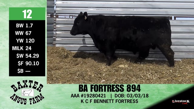 Lot #12 - BA FORTRESS 894
