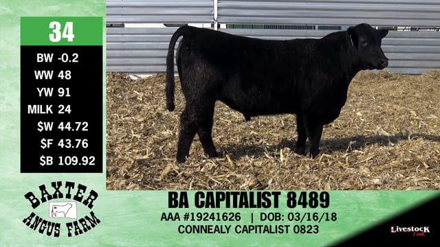 Lot #34 - BA CAPITALIST 8489