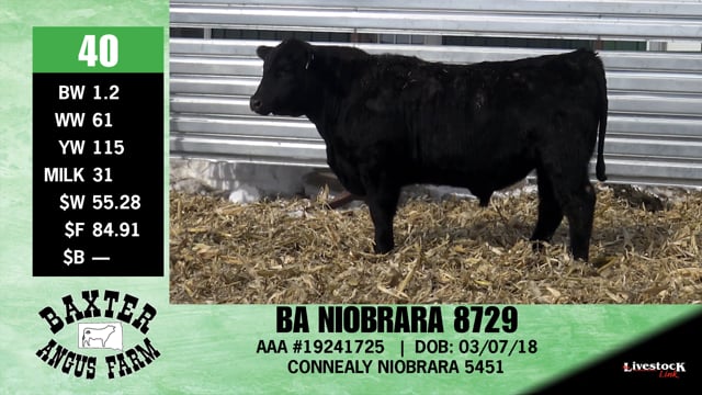 Lot #40 - BA NIOBRARA 8729