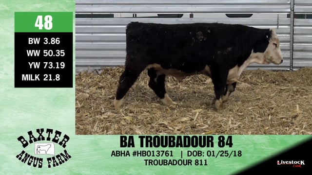 Lot #48 - BA TROUBADOUR 84