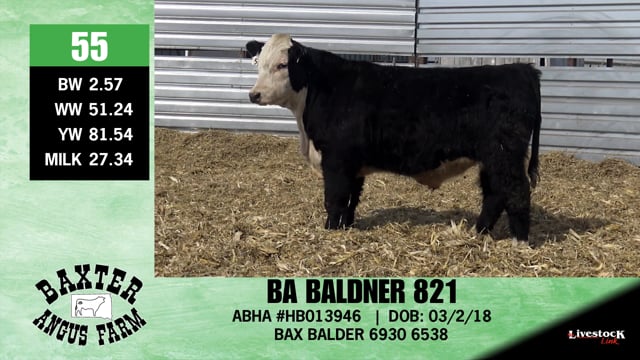 Lot #55 - BA BALDNER 82