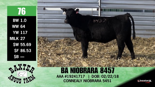 Lot #76 - BA NIOBRARA 8457
