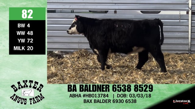 Lot #82 - BA BALDNER 6538 8529