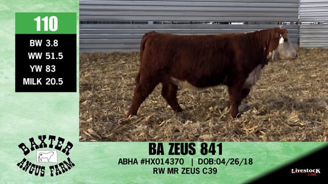Lot #110 - BA ZEUS 841