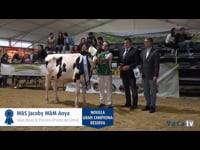 Novilla gran campeona