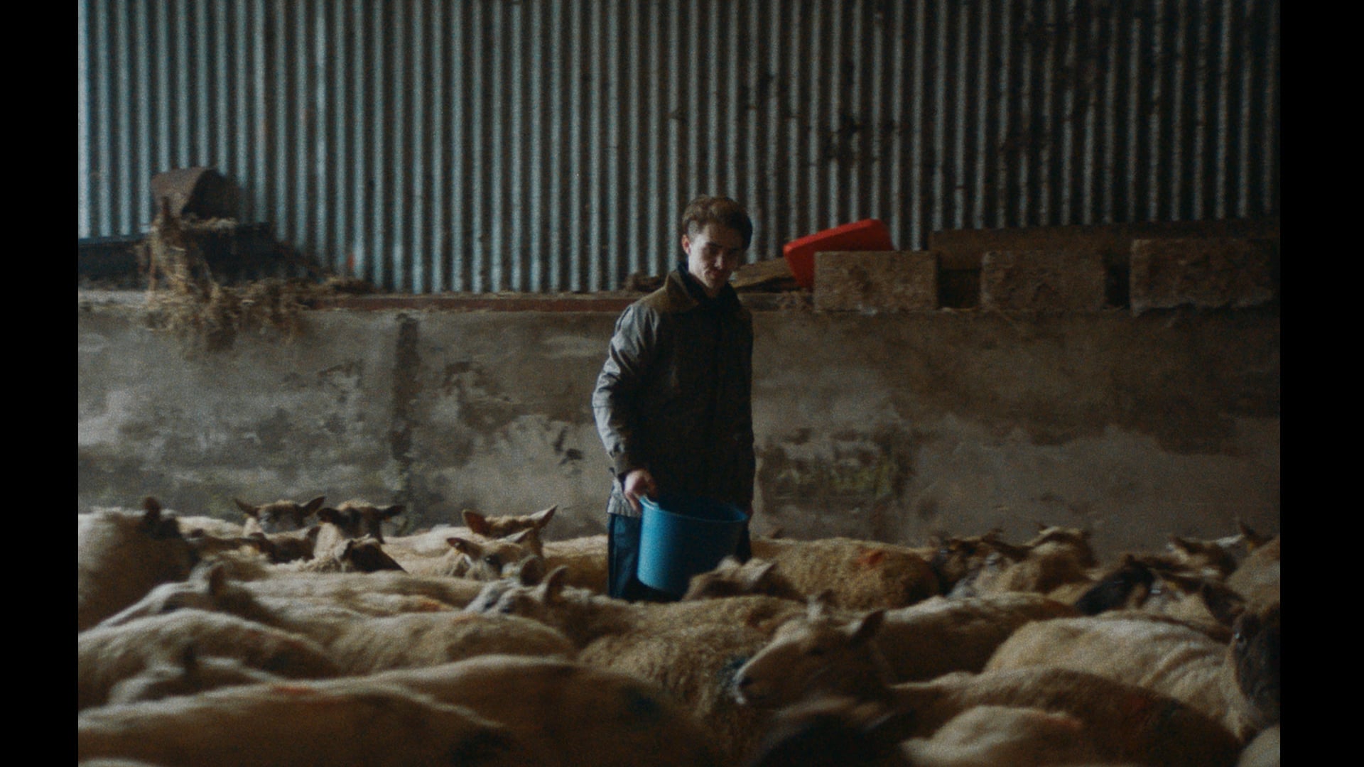 MUSIC PROMO FONTAINES DC 'Roy's Tune' on Vimeo