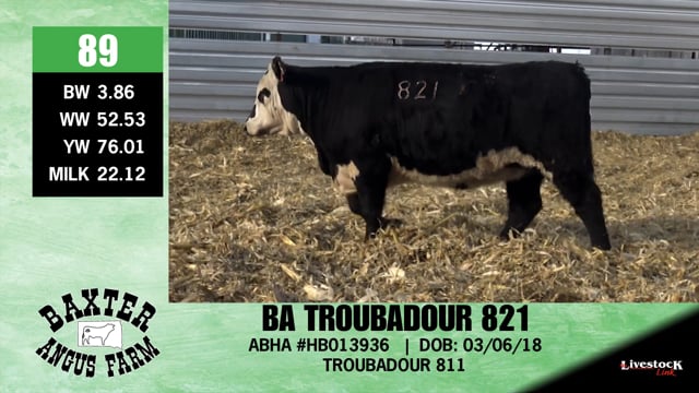 Lot #89 - BA TROUBADOUR 821