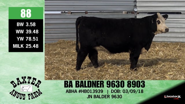 Lot #88 - BA BALDNER 9630 8903