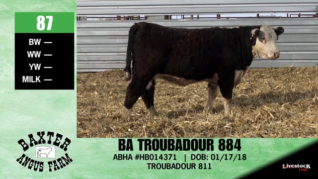 Lot #87 - BA TROUBADOUR 884