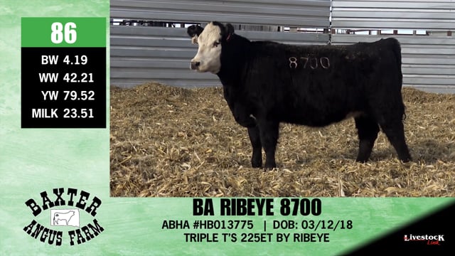 Lot #86 - BA RIBEYE 8700