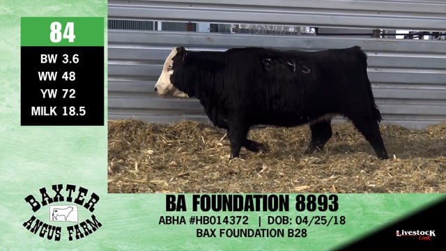 Lot #84 - BA FOUNDATION 8893