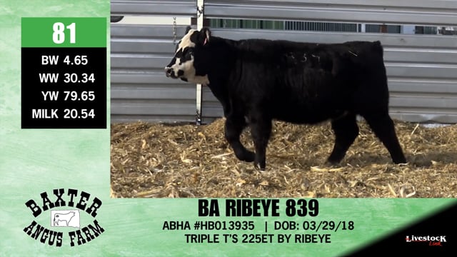 Lot #81 - BA RIBEYE 839