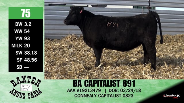 Lot #75 - BA CAPITALIST 891