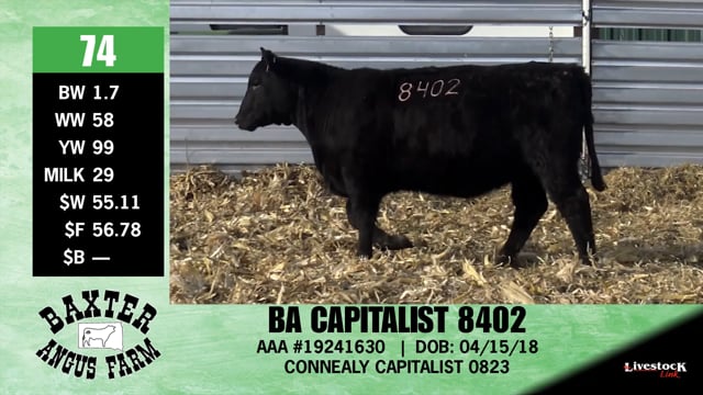 Lot #74 - BA CAPITALIST 8402