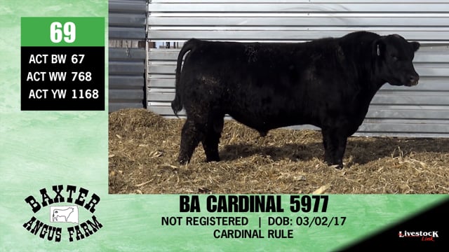 Lot #69 - BA CARDINAL 5977