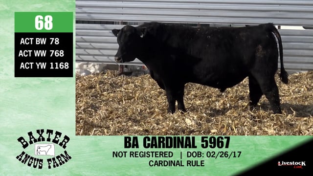 Lot #68 - BA CARDINAL 5967