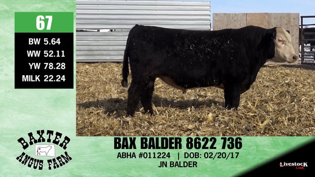 Lot #67 - BAX BALDER 8622 736