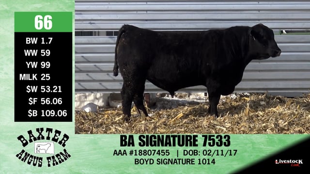Lot #66 - BA SIGNATURE 7533
