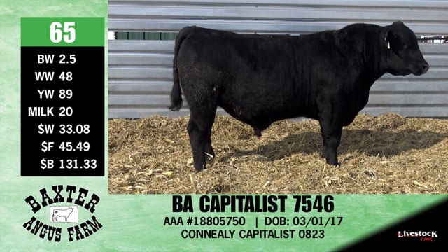 Lot #65 - BA CAPITALIST 7546