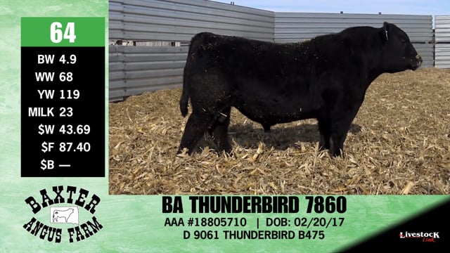 Lot #64 - BA THUNDERBIRD 7860