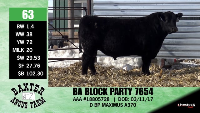 Lot #63 - BA BLOCK PARTY 7654