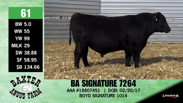 Lot #61 - BA SIGNATURE 7264