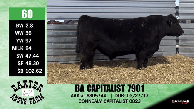Lot #60 - BA CAPITALIST 7901