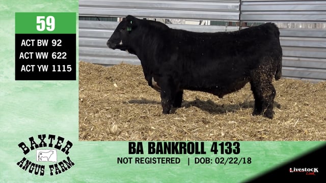 Lot #59 - BA BANKROLL 4133