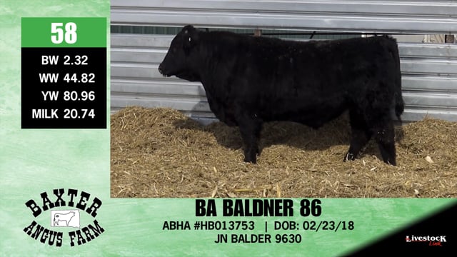 Lot #58 - BA BALDNER 86