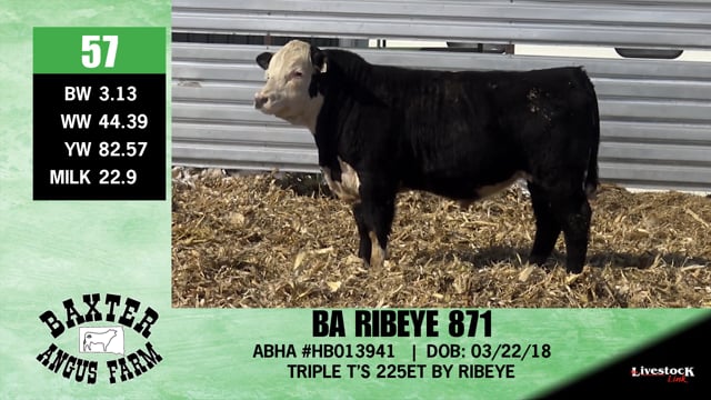 Lot #57 - BA RIBEYE 871