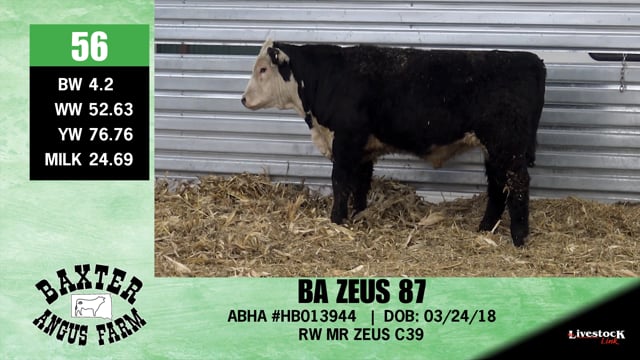 Lot #56 - BA ZEUS 87