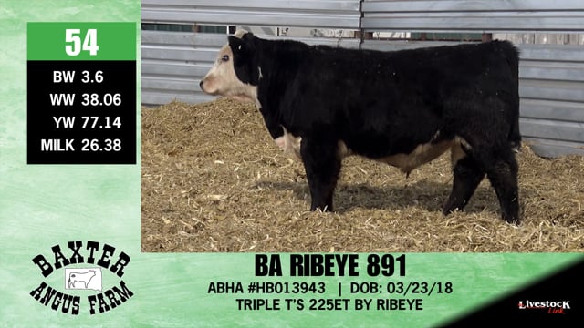 Lot #54 - BA RIBEYE 891