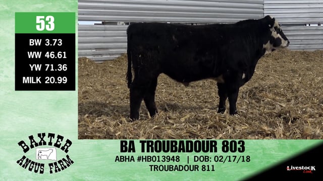 Lot #53 - BA TROUBADOUR 803