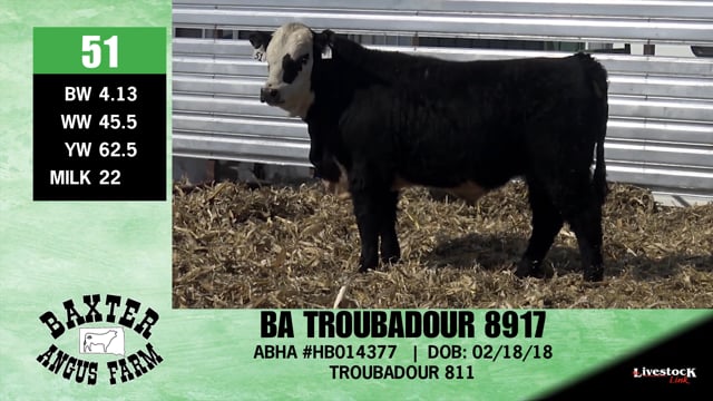 Lot #51 - BA TROUBADOUR 8917