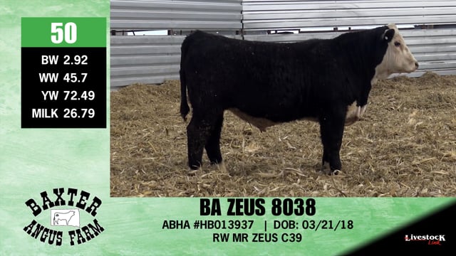 Lot #50 - BA ZEUS 8038