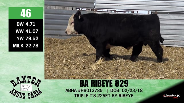 Lot #46 - BA RIBEYE 829