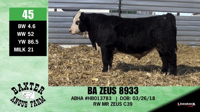 Lot #45 - BA ZEUS 8933