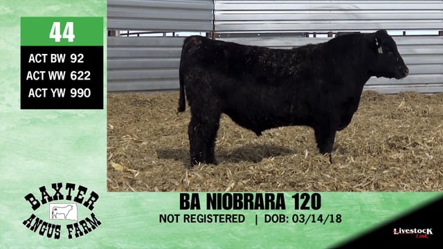 Lot #44 - BA NIOBRARA 120