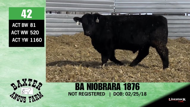 Lot #42 - BA NIOBRARA 1876