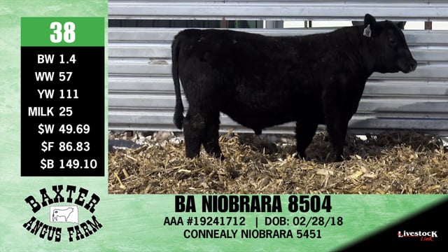 Lot #38 - BA NIOBRARA 8504